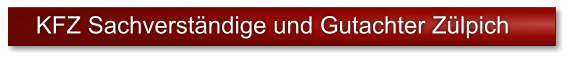 KFZ Sachverst�ndige und Gutachter Z�lpich